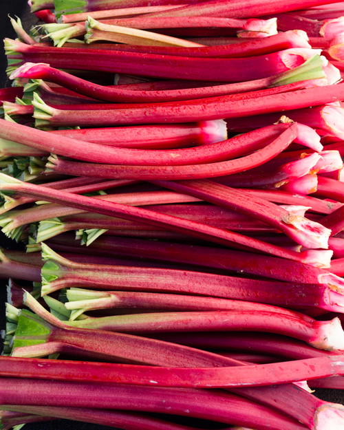 Rhubarb