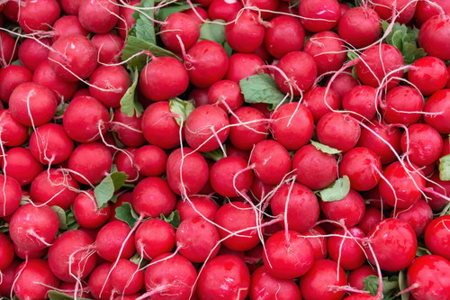 Radishes