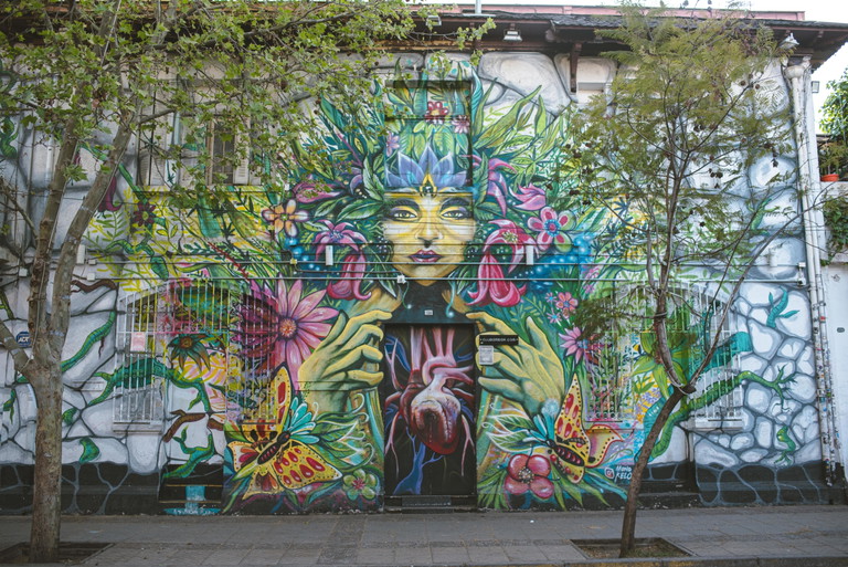 Quartiere dei murales Bellavista a Santiago del Cile