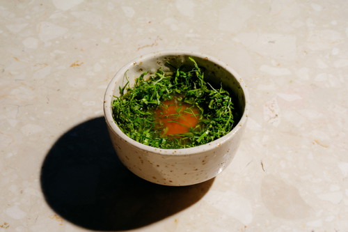 Eierstich mit vegetarischer Pho-Brühe