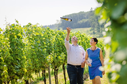 Die Bio-Winzerfamilie Hofmann aus Traismauer.