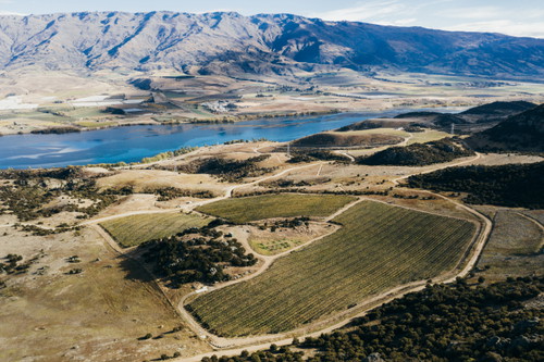 Moko Hills Winery