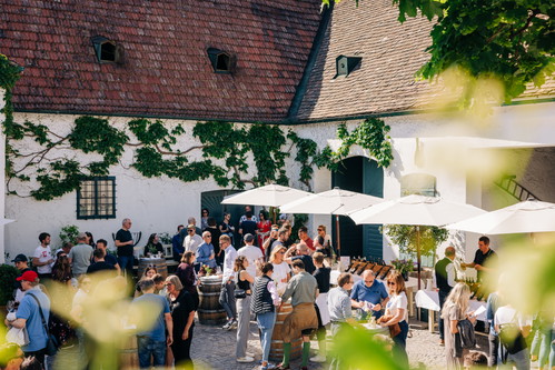 Impressionen der Tour de Vin – Donauregion 2025
