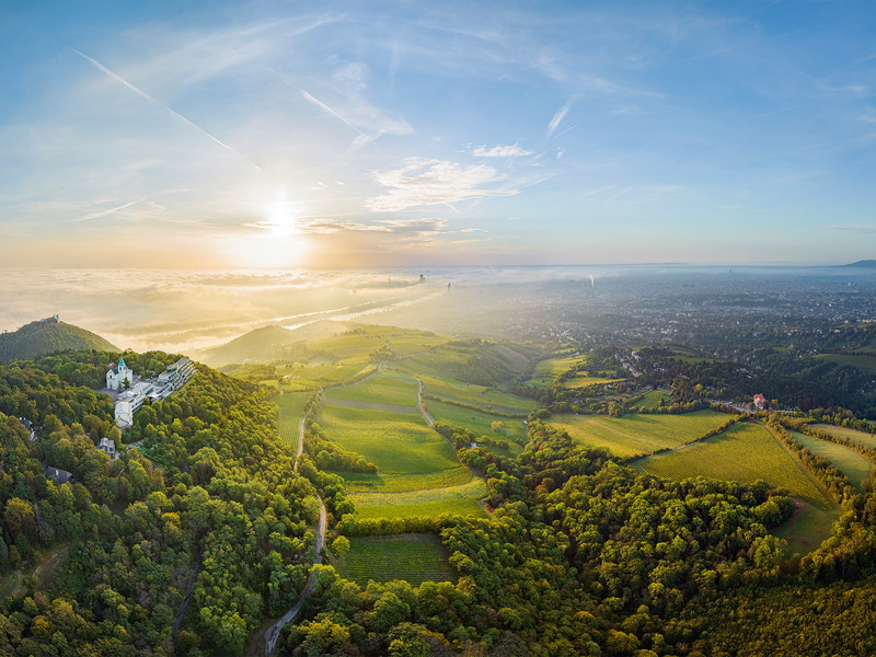 Blick vom Kahlenberg über die Weingärten am westlichen Rand der Donaumetropole Wien.