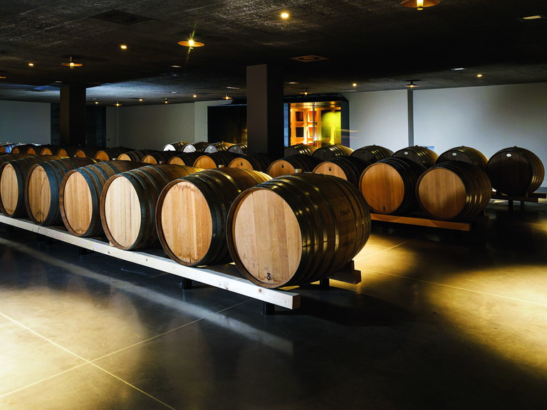 Pietradolce, sala delle botti