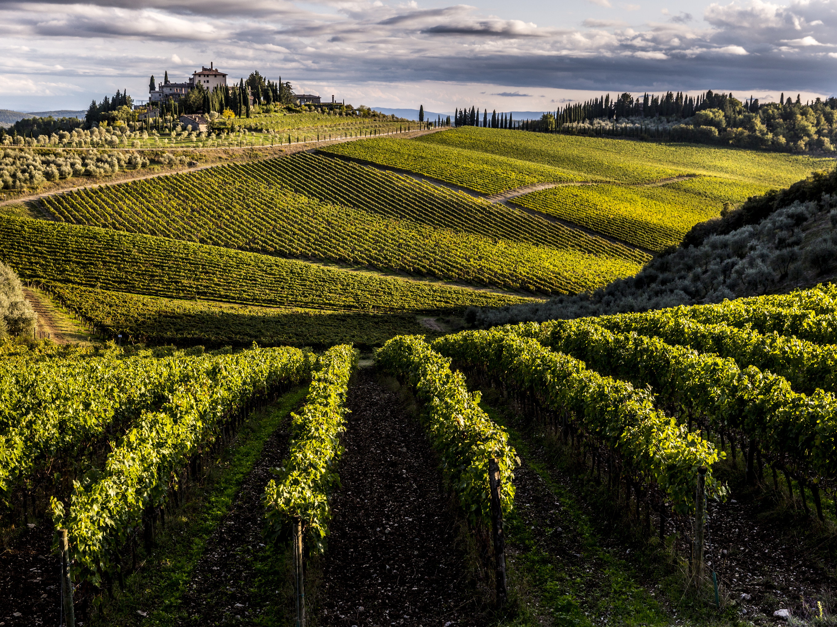 Die Tenuta Perano der Traditionsfamilie Frescobaldi.