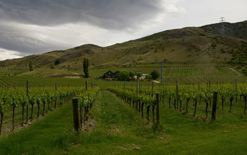 Felton Road Winery