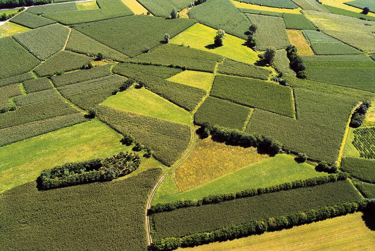 Campagna friulana