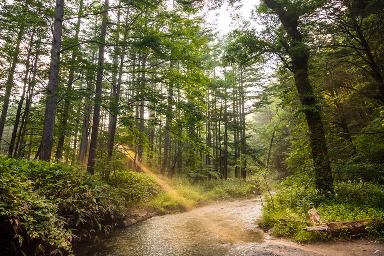 Kamikochi-Tal, Japan