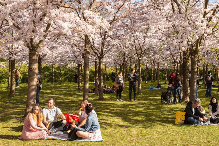 Bloesempark in Amstelveen