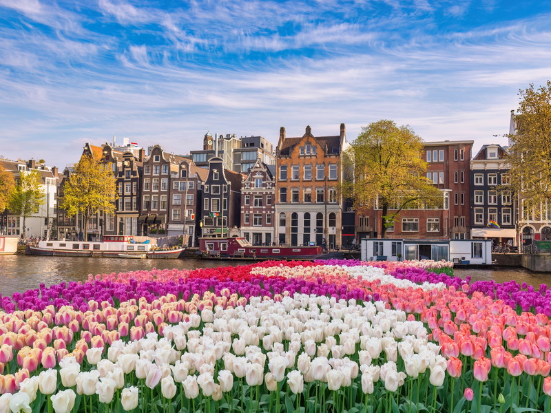 Tulpenteppiche in Amsterdam