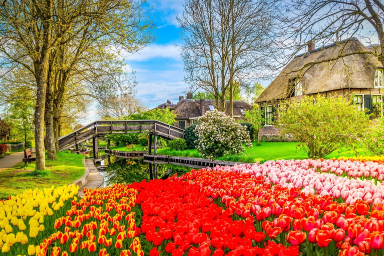 Die Lanschaft um die Stadt Giethoorn blüht auf