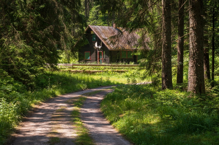 Nationalpark Schwarzwald
