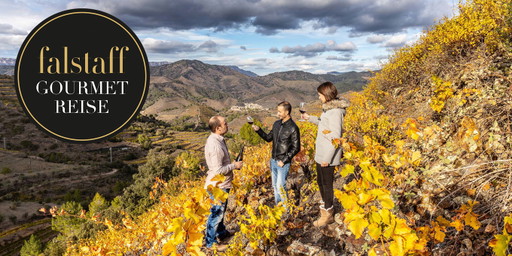 PRIORAT STEILER SCHIEFER