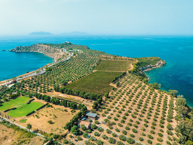 Wie ein Sporn schiebt sich Capo Milazzo Richtung Äolische Inseln ins Tyrrhenische Meer. Hier liegt die Tenuta Baronia, eines der sieben Weingüter von Planeta. 