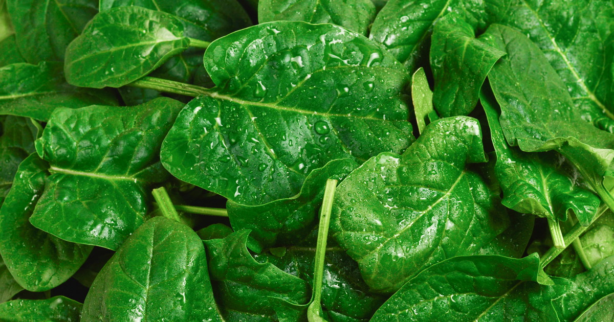 Spring Spinach Spinach: Five Tips for Making the Most of Spring’s Green Star - Falstaff
