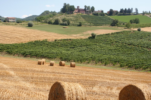 Berzano