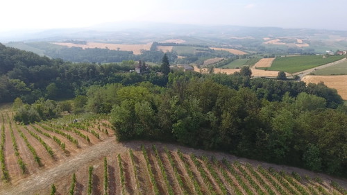 Colli tortonesi