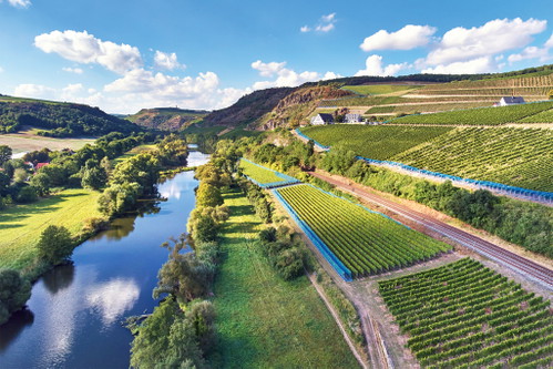 Das Weingut Dönnhoff