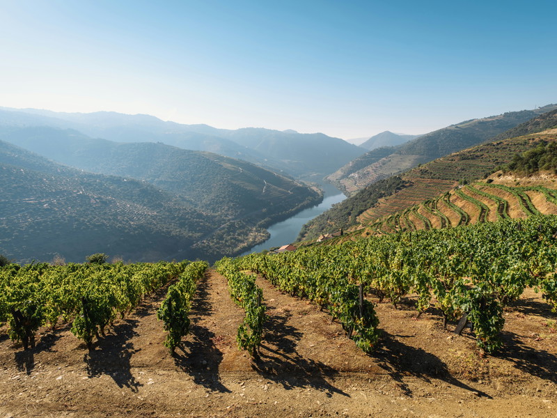 Douro
