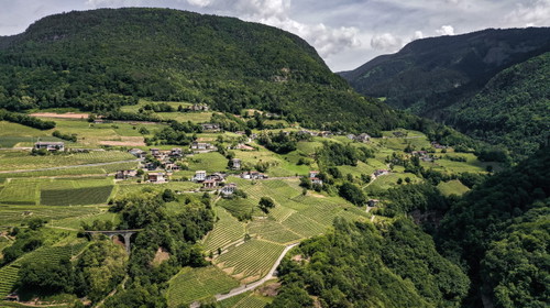 UGA Glen 