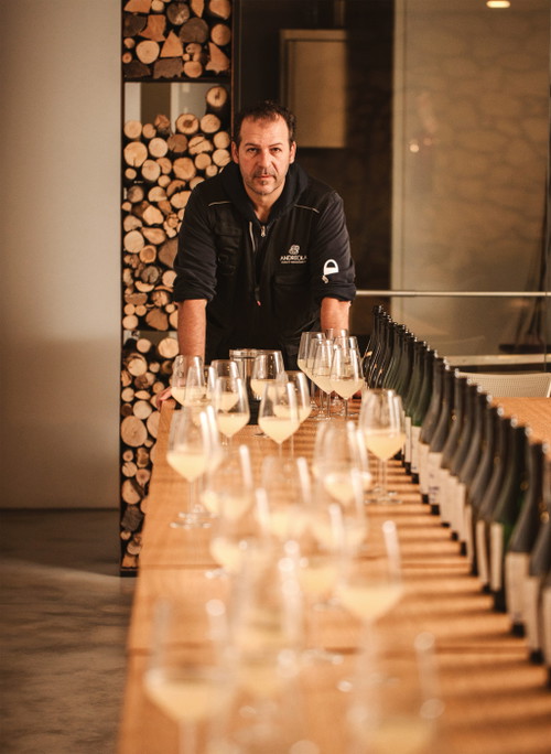 Stefano Pola vom Weingut Andreola ist ein Verfechter der Weingartenselektionen; gleich sechs verschiedenen Rive-Prosecco erzeugt er.