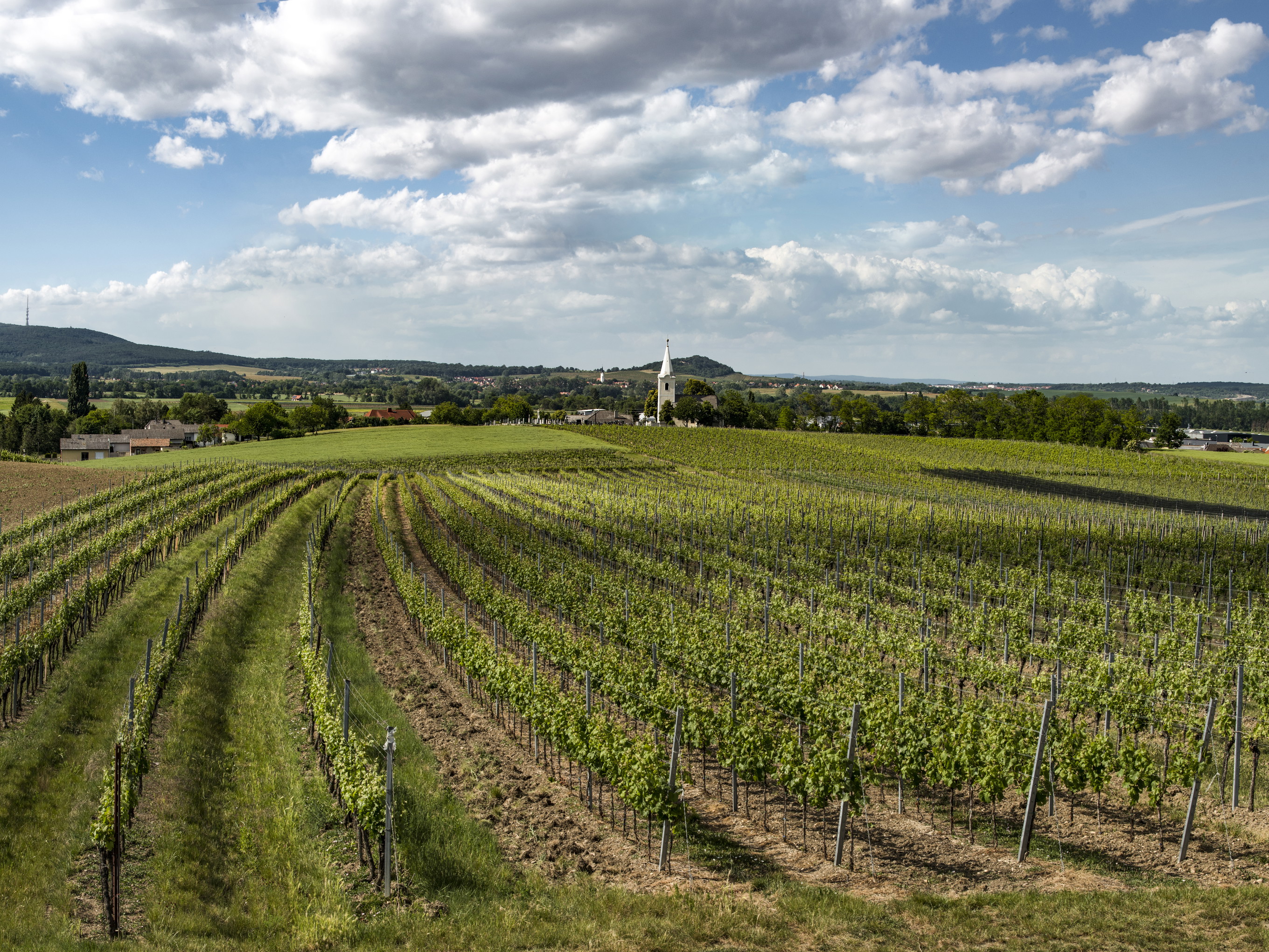 Deutschkreutz, Mittelburgenland 