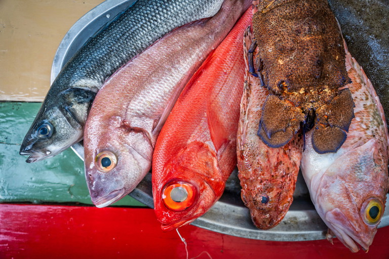 The Mediterranean sea offers a great variety of fish.