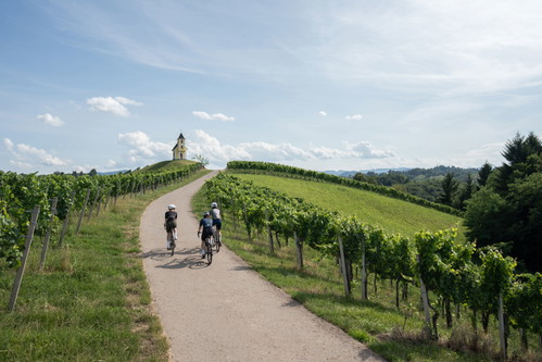 © Südsteiermark Tourismus / Lukas Elsneg