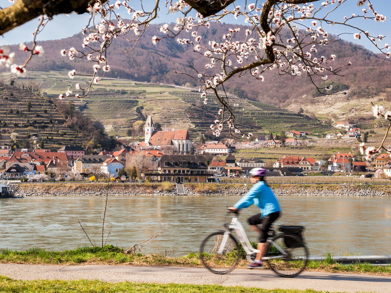 © Shutterstock/Tomas Marek
