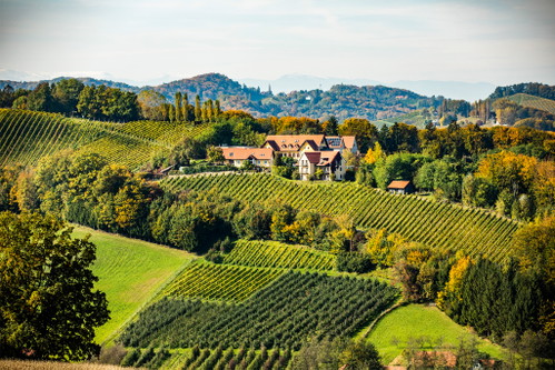 »Sattlerhof«