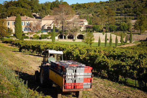 Das Château Miraval ist ein Joint Venture von Spitzenwinzer Thomas Perrin und Schauspieler Brad Pitt.