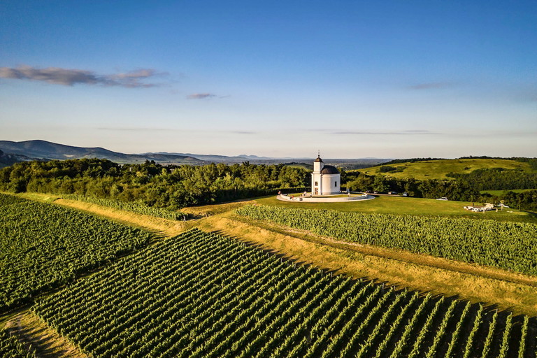 Weinberge von Tokaj: Das traditionsreiche Anbaugebiet ist berühmt für den Tokajer Aszú.