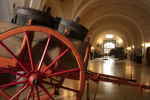 Museo Civiltà del Vino Primitivo