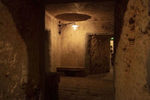 Museo Civiltà del Vino Primitivo