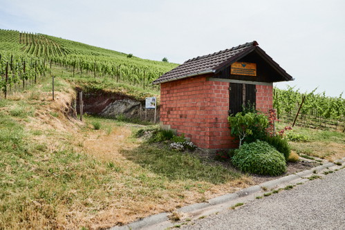 Weingut Bernhard Ellwanger