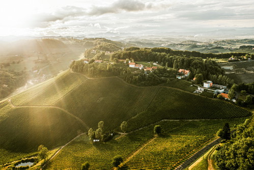 Das Weingut Tement hat uns auch begeistert. »WIELIeBE OS« wird aus Weißburgunder und Morillon bereitet; »OS« steht für »ohne Schwefel«.