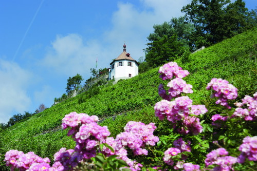 Das Schloss Rosenberg oberhalb von Berneck. Weiter unterhalb befindet sich das Weingut Tobias von Christoph Schmid.