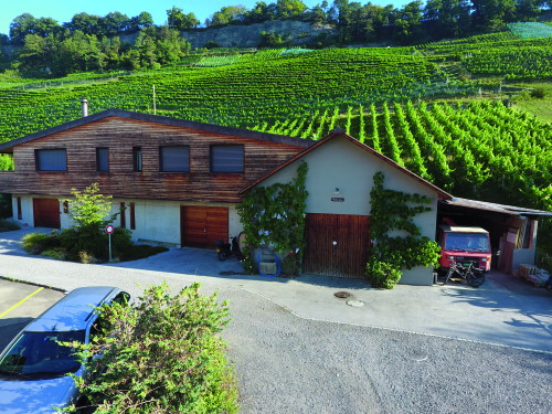 … und sein Weingut am Steinig