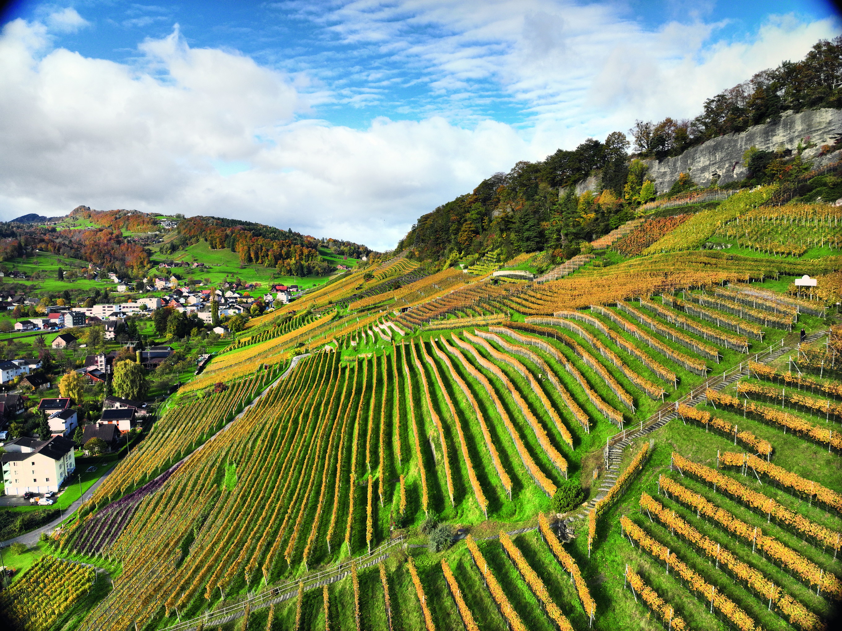 schweiz-chancental-rheintal-falstaff
