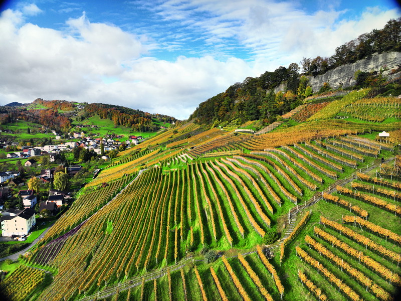 Spektakulärer Ausblick auf die Rebberge von Thal. Hier gedeihen unter anderem die Weine von Roman Rutishauser. 