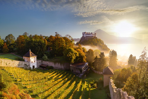 Der pittoreske Weingarten der Pfadfinder am Salzburger 
Mönchsberg.