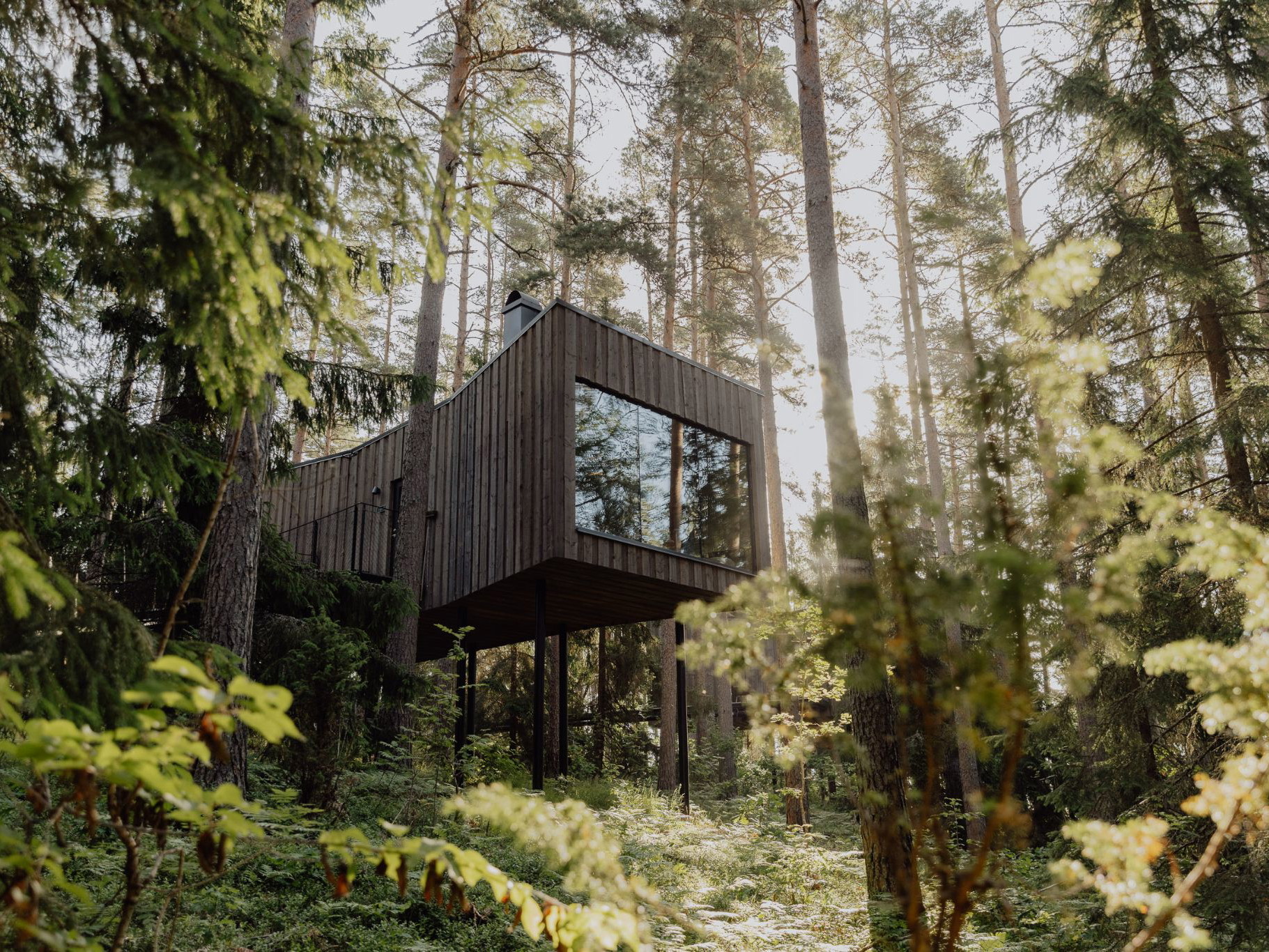 Trakt Forest Hotel