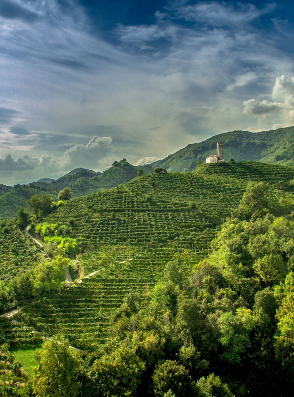 Le colline di Valdobbiadene