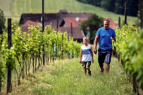 Wolfgang Költringer betreibt seit 2003 sein Weingut »Innviadla« in Weilbach.