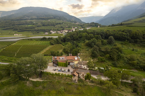 Tenuta Franz Haas