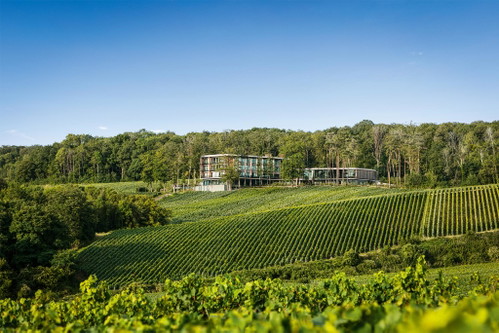 LOISIUM Wine &amp; Spa Hotel Champagne