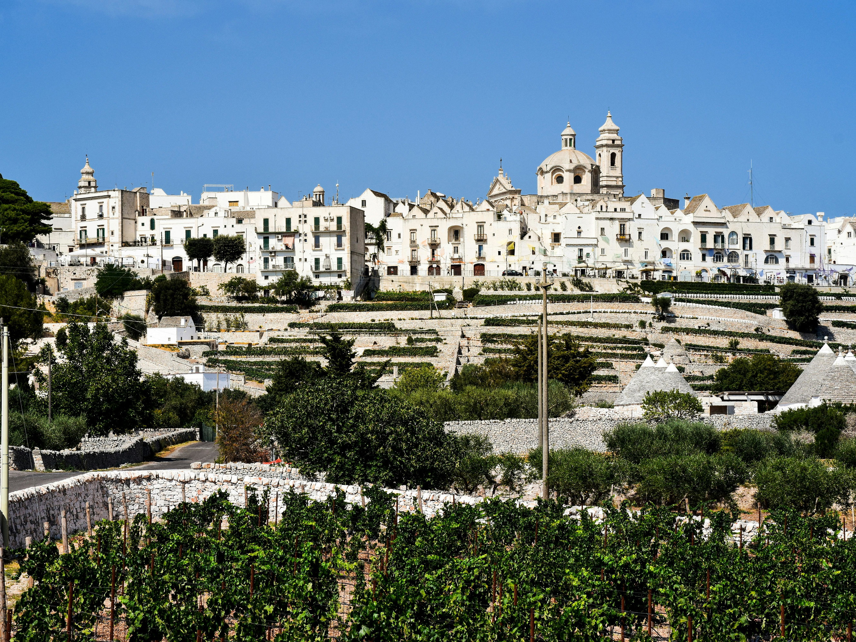 I vigneti attorno a Locorotondo