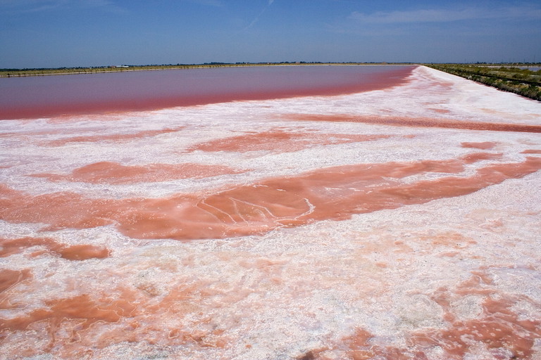 Saline di Cervia