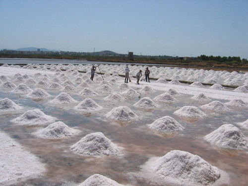 Saline Trapani e Paceco